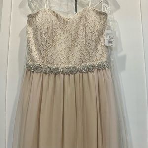 David’s Bridal Size 15 Blush strapless Chiffon lace floor length dress NWT